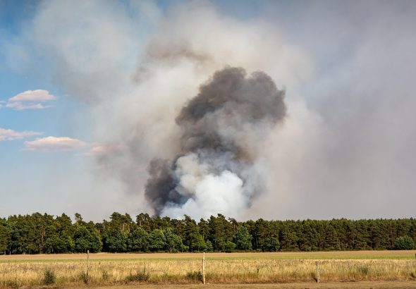 fire-3544205_1280