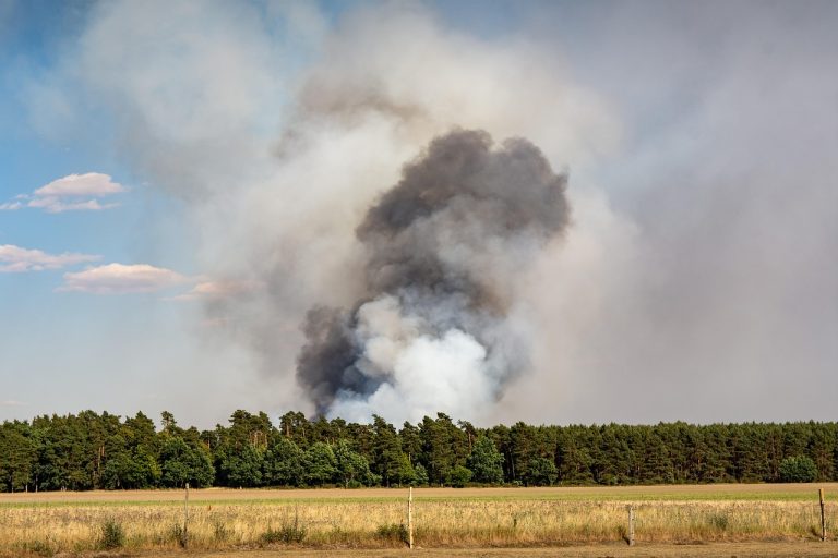 fire-3544205_1280